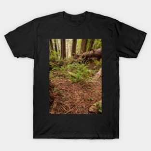 The Forest Floor T-Shirt